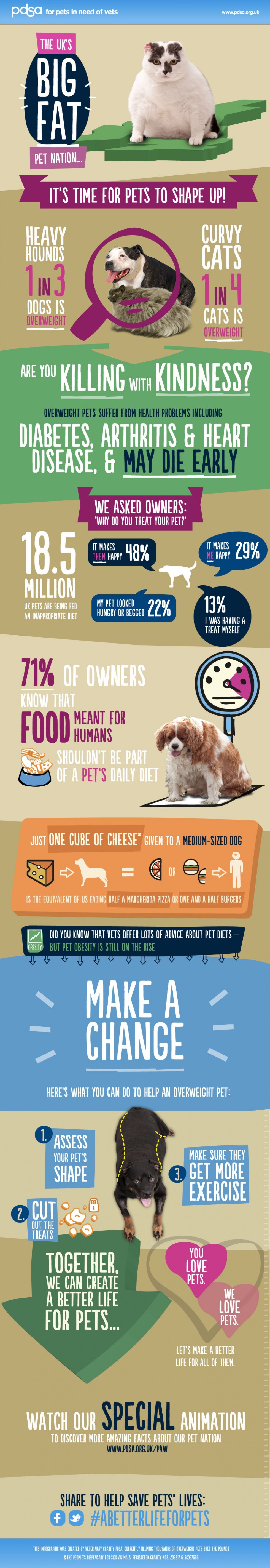 Big Fat Pet Nation UK: Obese Pet Facts - Infographic