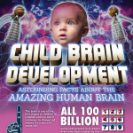 child brain development infographic