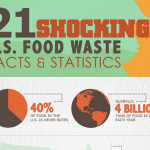 Food Waste infographic