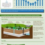 Landscaping Drainage Infographic