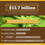 Marijuana Legalization Infographic