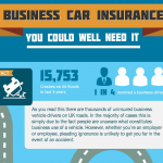 Business Car Insurance Infographic