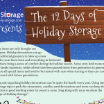 Holiday Storage Infographic