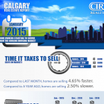 Calgary Real Estate Infographic