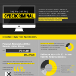 Cyber Criminals Infographic
