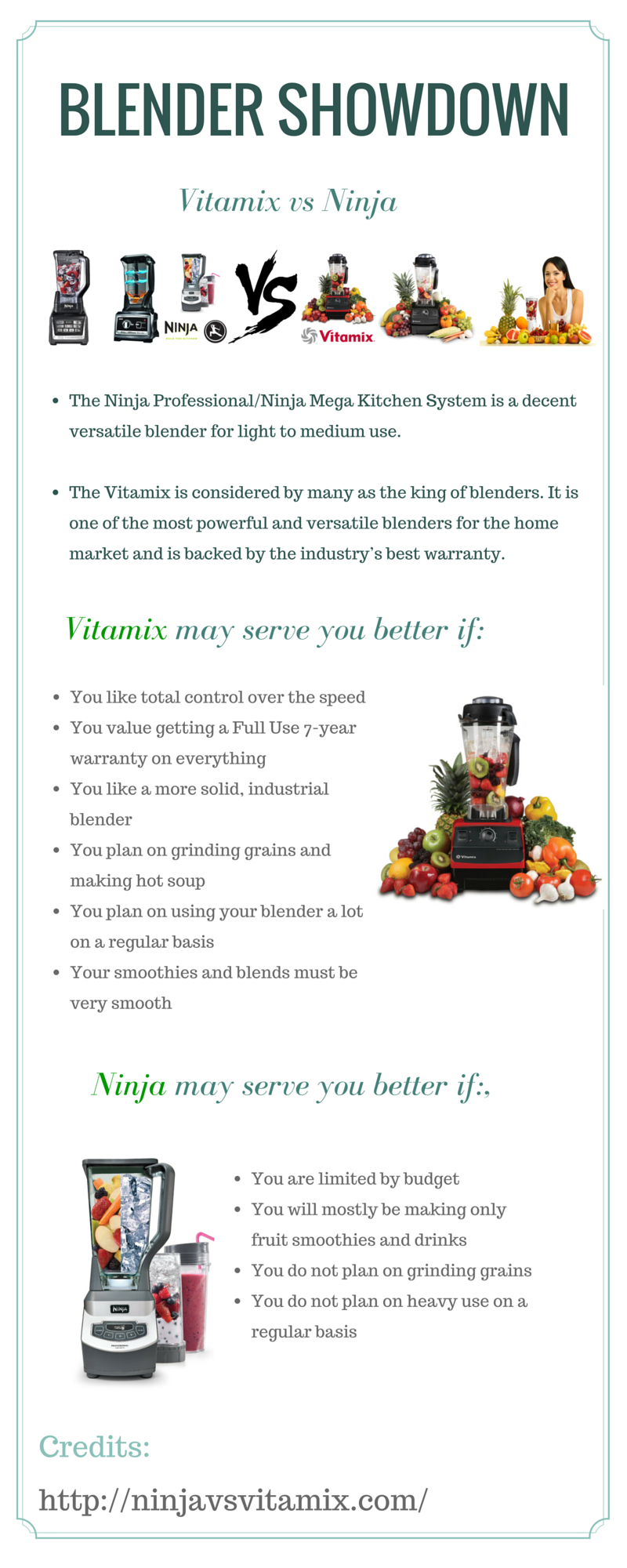 Vitamix Vs Ninja Blender Showdown
