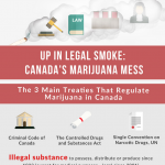 Marijuana Laws Infographic