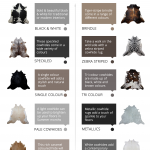 cowhide colors infographic