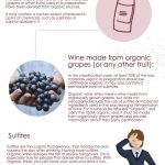 organic wine infographic