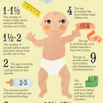 baby's first year infographic