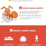 Dust Allergy infographic