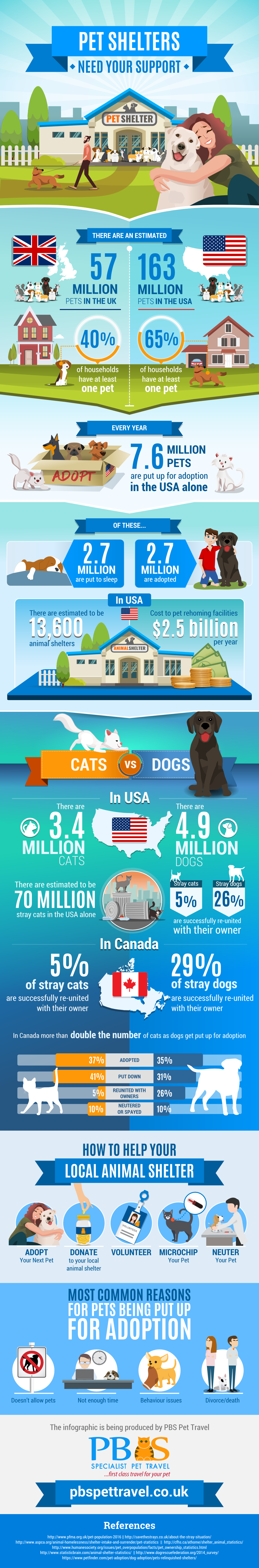 Pet shelter infographic