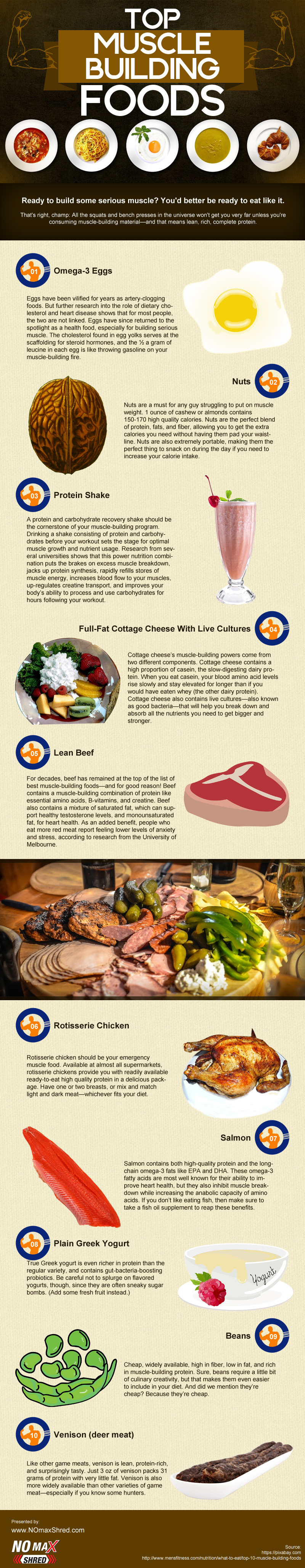 muscle building foods infographic