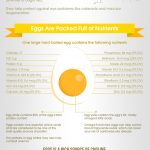 Egg Health infographic