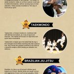 martial arts infographic