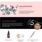 Festival makeup infographic