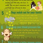 dogs infographic