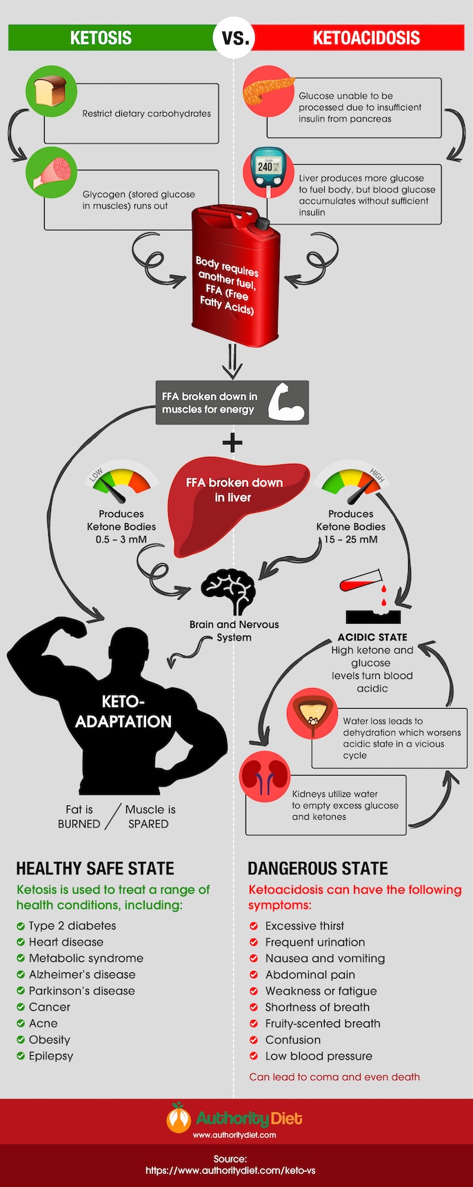 ketosis infographic