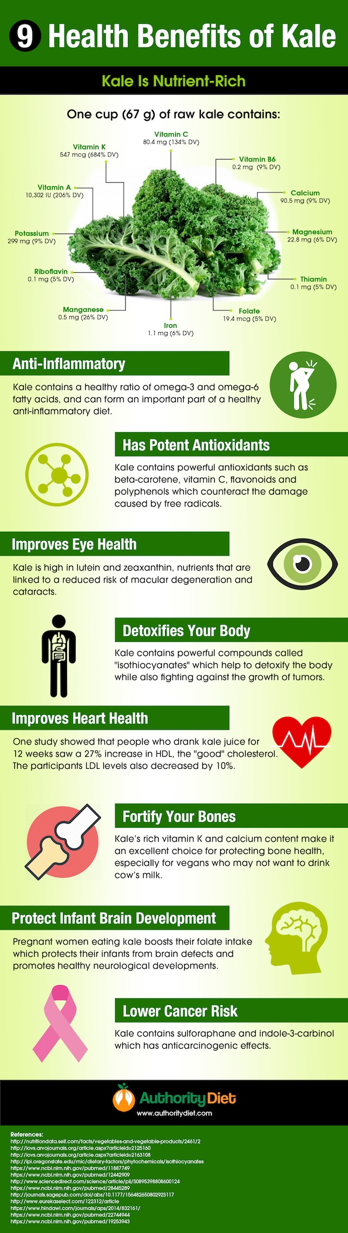 kale benefits infographic