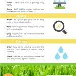 lawn care guide infographic