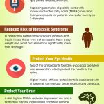 avocado benefits infographic