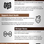 health benefits of chia seeds infographic