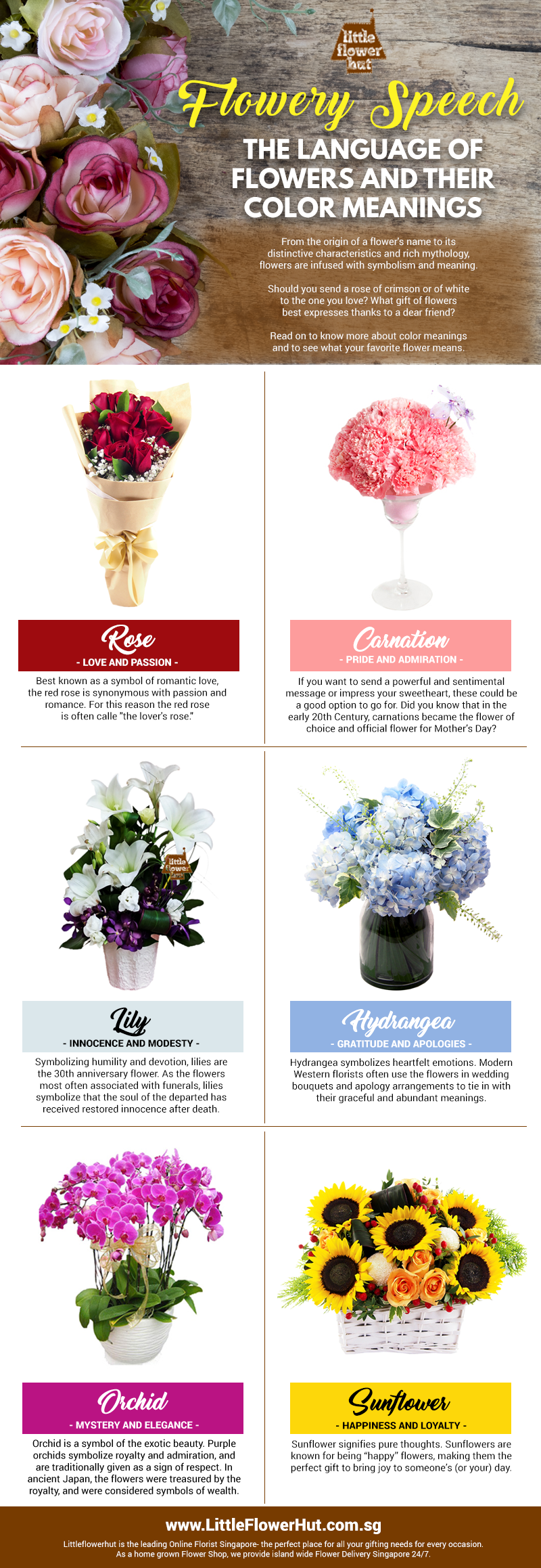 The Language of Flowers, What Flowers Mean