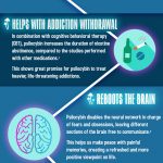 medical benefits of mushrooms infographic