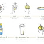 making olive oil infographic