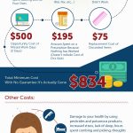 cost of lice infographic
