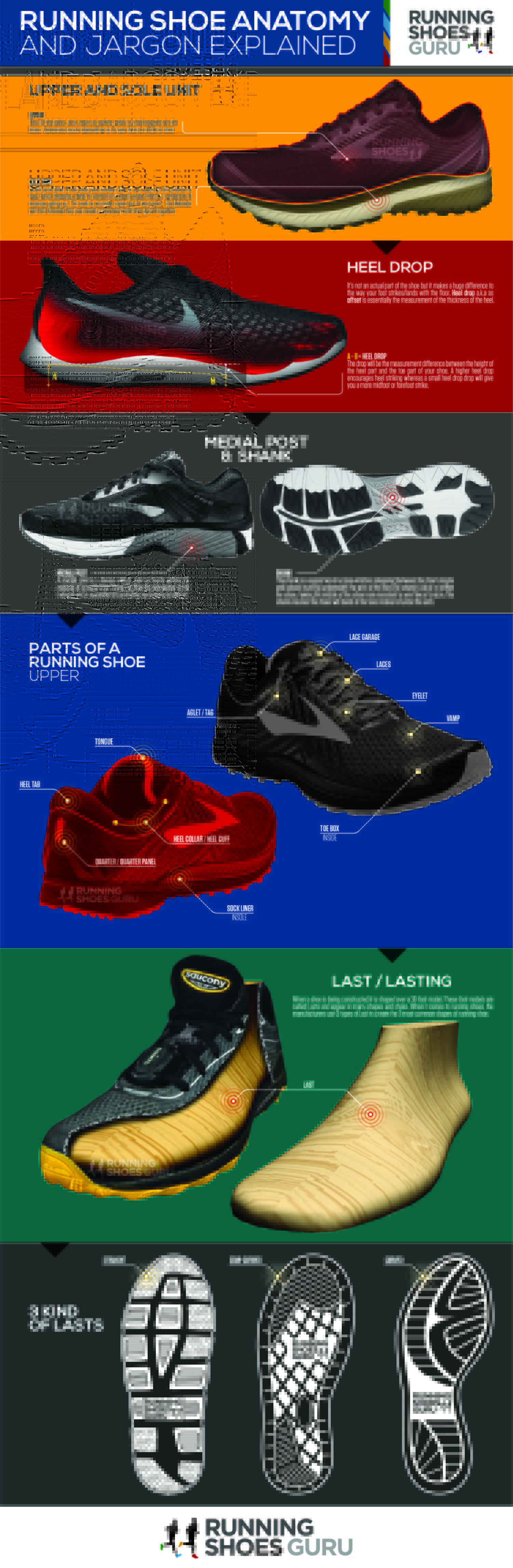 Running Shoes Anatomy Infographic
