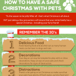Christmas Pet Safety Infographic