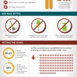 Bed Bugs Infographic