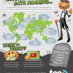 Data Roaming Infographic