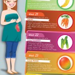 Baby Growth Infographic