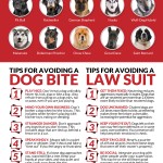 Dog Bite Infographic