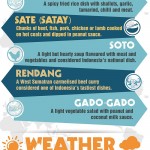 Indonesia travel infographic