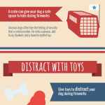 Fireworks and Dogs infographic