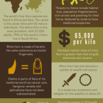 Rhino extinction infographic