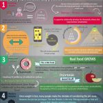 Obesity infographic