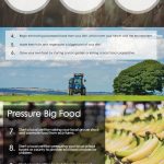 sustainable food infographic