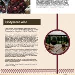 Wine Making infographic
