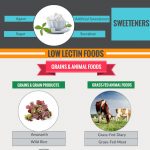 lectins nutrition infographic