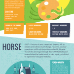 chinese zodiac infographic