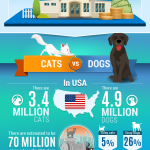 Pet shelter infographic