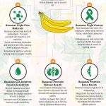 banana health benefits infographic