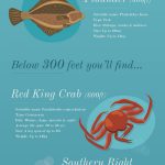 under the sea infographic