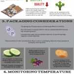 food waste infographic