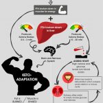 ketosis infographic