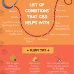 marijuana for dogs infographic